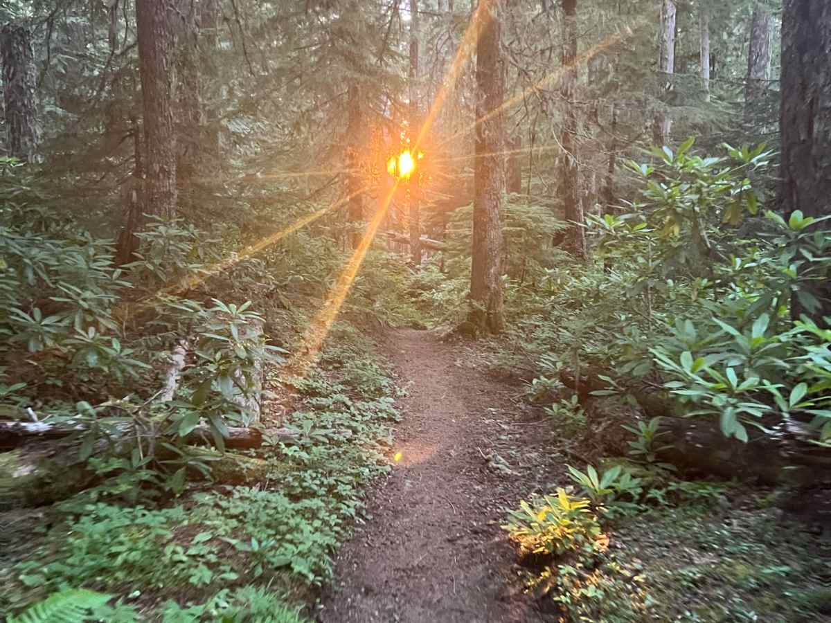 Shallow Views, Deep&nbsp;Lake