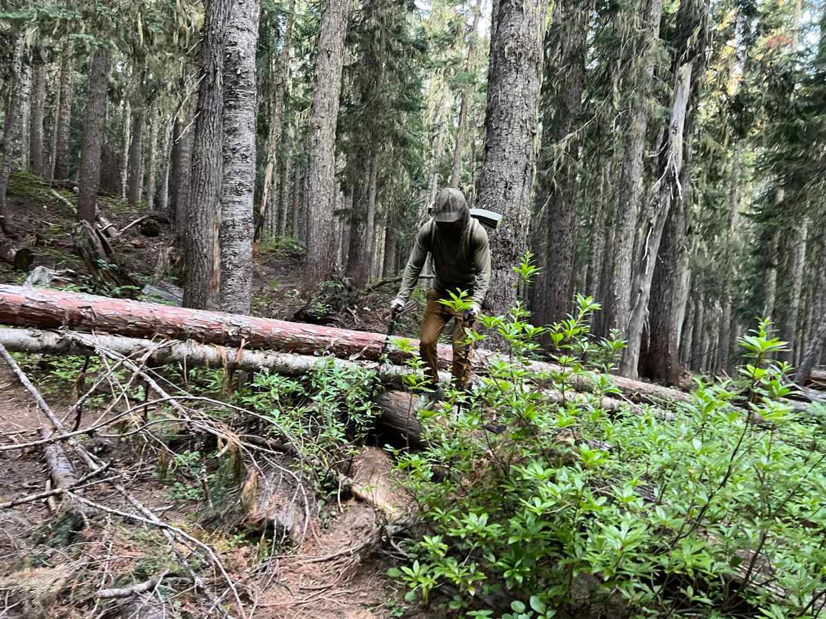 “Today I Make A Bad&nbsp;Memory”