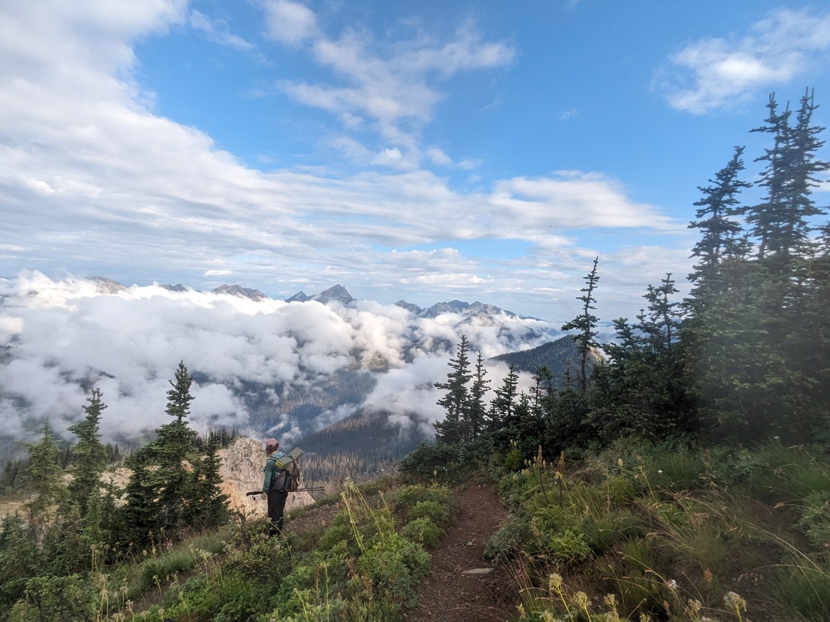 Video Interlude Washinton